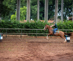 IMG-20230125-WA0023-Pequeno