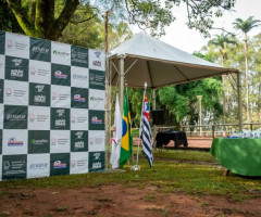 IMG-20230127-WA0002-Pequeno