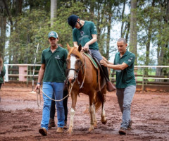 IMG-20230127-WA0007-Pequeno