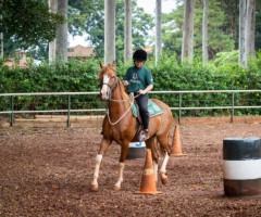 IMG-20230127-WA0009-Pequeno