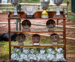 IMG-20230127-WA0023-Pequeno