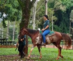 WhatsApp-Image-2020-05-06-at-16.19.20