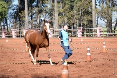 WhatsApp Image 2018-09-18 at 16.54.08 (2)