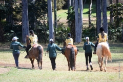 WhatsApp Image 2018-09-18 at 16.54.09