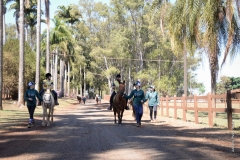 WhatsApp Image 2018-09-18 at 16.54.10 (1)