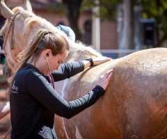 WhatsApp-Image-2022-10-11-at-13.43.59-3