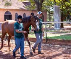 WhatsApp-Image-2022-10-11-at-13.44.00