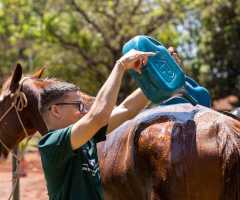 WhatsApp-Image-2022-10-11-at-13.44.01-3