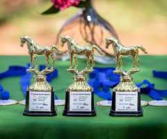 WhatsApp-Image-2022-10-11-at-13.45.38