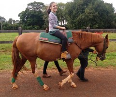 Atendimentos Março 2020