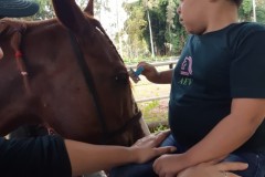 IMG-20200303-WA0073-Custom