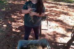 IMG-20200306-WA0041-Custom