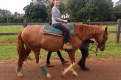 IMG_20200303_090703159-Custom