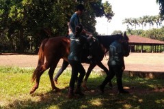 IMG_20200309_144252145-Custom