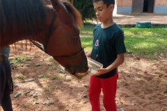 IMG_20200310_144314163_HDR-Custom