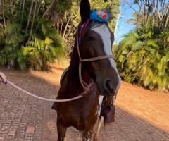 WhatsApp-Image-2021-06-28-at-09.30.00-Medium