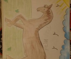 IMG-20200501-WA0077-Medium