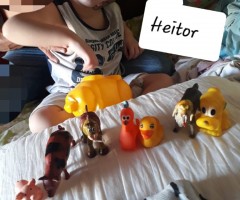 WhatsApp-Image-2020-08-18-at-17.37.09-Medium