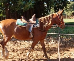 WhatsApp-Image-2020-06-22-at-11.34.29-Custom