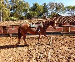 WhatsApp-Image-2020-06-22-at-11.34.30-3-Custom