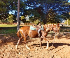 WhatsApp-Image-2020-06-22-at-11.34.31-Custom