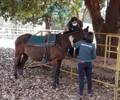 WhatsApp-Image-2020-08-11-at-16.52.03-2-Custom