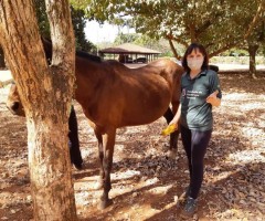 WhatsApp-Image-2020-08-11-at-16.52.03-Custom