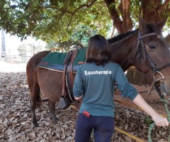 WhatsApp-Image-2020-08-11-at-16.52.04-1-Custom