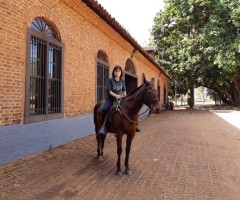 WhatsApp-Image-2020-08-11-at-16.52.04-2-Custom