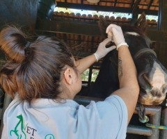 WhatsApp-Image-2020-08-18-at-17.42.10-4-Custom