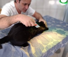 WhatsApp-Image-2020-08-24-at-11.47.15-2-Custom