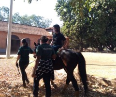 WhatsApp-Image-2020-08-25-at-17.31.55-Custom