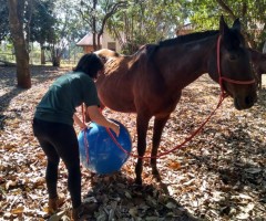 WhatsApp-Image-2020-08-25-at-17.32.07-2-Custom