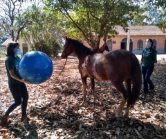 WhatsApp-Image-2020-08-25-at-17.32.08-1-Custom