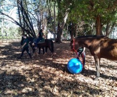 WhatsApp-Image-2020-08-25-at-17.32.09-Custom