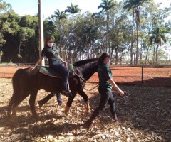 WhatsApp-Image-2020-08-25-at-17.32.10-Custom