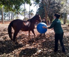 WhatsApp-Image-2020-08-25-at-17.32.11-Custom