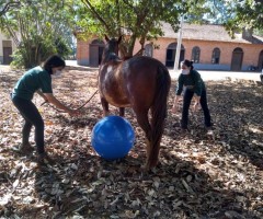 WhatsApp-Image-2020-08-25-at-17.32.13-Custom