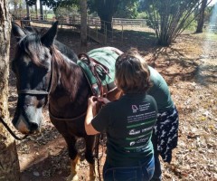 WhatsApp-Image-2020-08-25-at-17.32.16-2-Custom