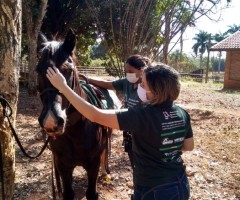 WhatsApp-Image-2020-08-25-at-17.32.17-Custom