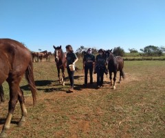 WhatsApp-Image-2020-08-25-at-17.33.42-1-Custom