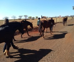 WhatsApp-Image-2020-08-25-at-17.33.43-1-Custom