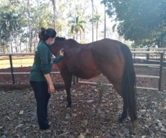 WhatsApp-Image-2020-08-25-at-17.33.43-Custom