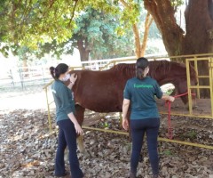 WhatsApp-Image-2020-08-25-at-17.36.27-2-Custom