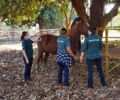 WhatsApp-Image-2020-08-25-at-17.37.42-4-Custom