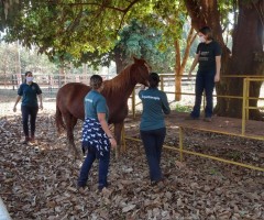 WhatsApp-Image-2020-08-25-at-17.37.43-3-Custom