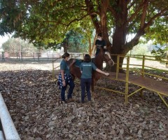 WhatsApp-Image-2020-08-25-at-17.37.44-4-Custom