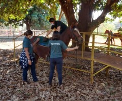 WhatsApp-Image-2020-08-25-at-17.37.44-Custom