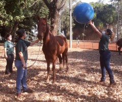 WhatsApp-Image-2020-09-01-at-15.24.20-Custom