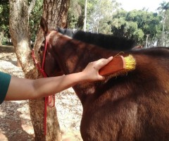 WhatsApp-Image-2020-09-01-at-15.46.30-Custom